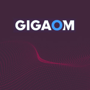 300x300 gigaomreport 300x300 gigaomreport